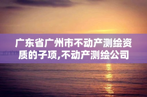 广东省广州市不动产测绘资质的子项,不动产测绘公司条件。