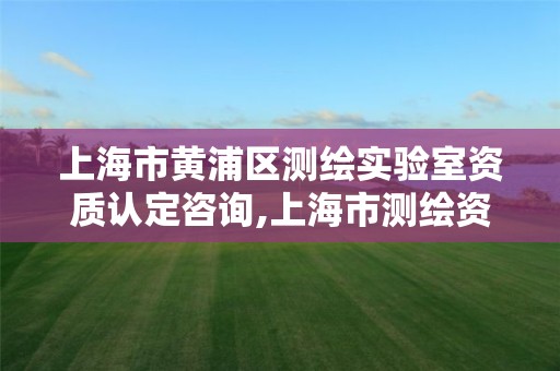 上海市黄浦区测绘实验室资质认定咨询,上海市测绘资质单位名单。