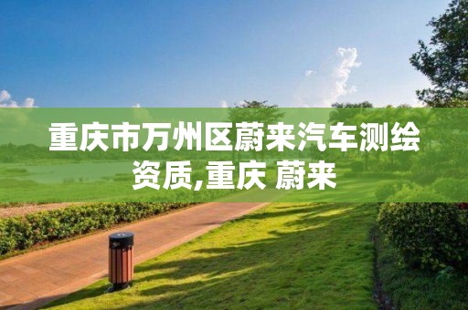 重庆市万州区蔚来汽车测绘资质,重庆 蔚来