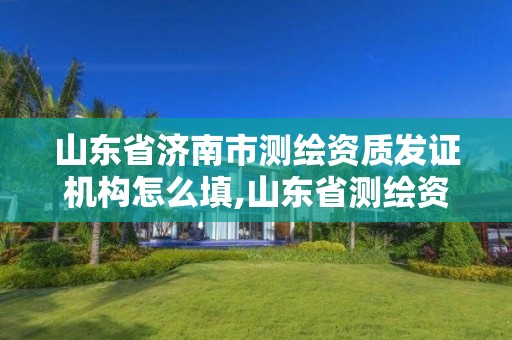 山东省济南市测绘资质发证机构怎么填,山东省测绘资质管理规定