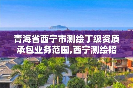 青海省西宁市测绘丁级资质承包业务范围,西宁测绘招聘。