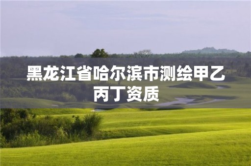 黑龙江省哈尔滨市测绘甲乙丙丁资质