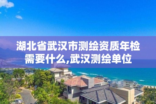 湖北省武汉市测绘资质年检需要什么,武汉测绘单位