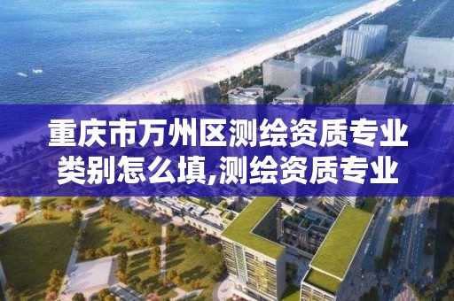 重庆市万州区测绘资质专业类别怎么填,测绘资质专业范围