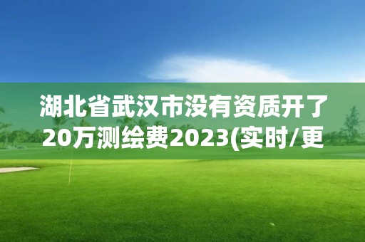 湖北省武汉市没有资质开了20万测绘费2023(实时/更新中)