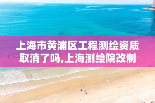 上海市黄浦区工程测绘资质取消了吗,上海测绘院改制