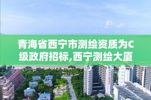 青海省西宁市测绘资质为C级政府招标,西宁测绘大厦在哪儿。