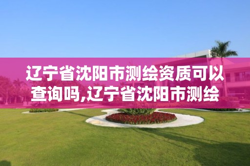 辽宁省沈阳市测绘资质可以查询吗,辽宁省沈阳市测绘资质可以查询吗现在