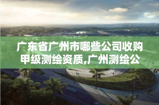 广东省广州市哪些公司收购甲级测绘资质,广州测绘公司排名