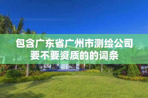 包含广东省广州市测绘公司要不要资质的的词条