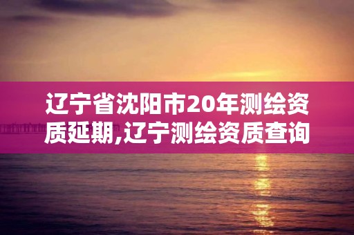 辽宁省沈阳市20年测绘资质延期,辽宁测绘资质查询