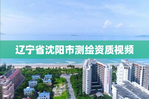 辽宁省沈阳市测绘资质视频