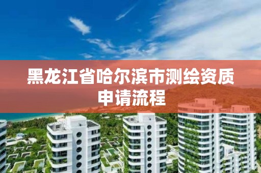 黑龙江省哈尔滨市测绘资质申请流程