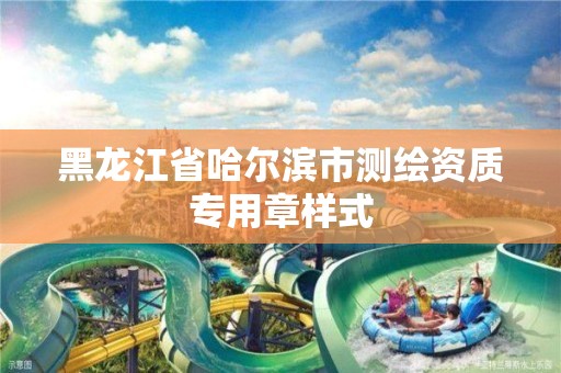 黑龙江省哈尔滨市测绘资质专用章样式