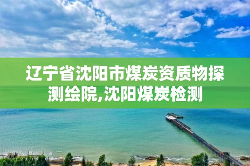 辽宁省沈阳市煤炭资质物探测绘院,沈阳煤炭检测