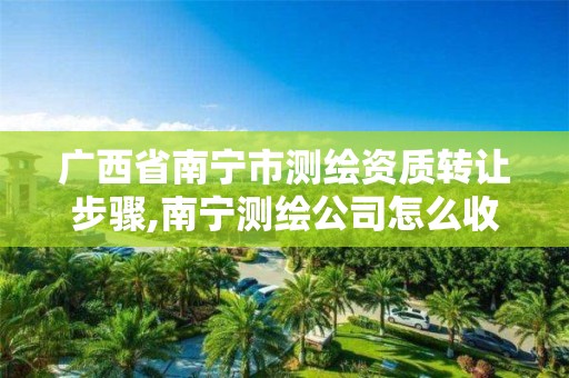 广西省南宁市测绘资质转让步骤,南宁测绘公司怎么收费标准