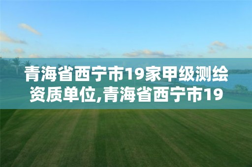 青海省西宁市19家甲级测绘资质单位,青海省西宁市19家甲级测绘资质单位名单。