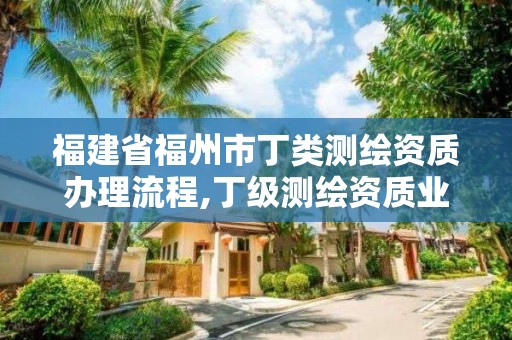 福建省福州市丁类测绘资质办理流程,丁级测绘资质业务范围。