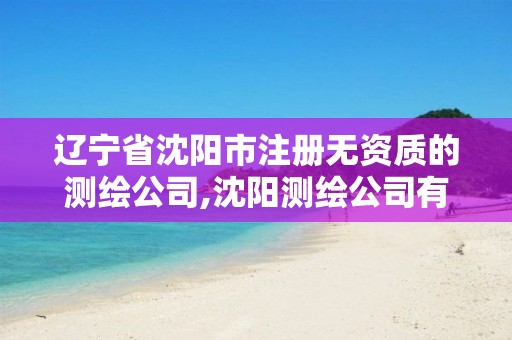 辽宁省沈阳市注册无资质的测绘公司,沈阳测绘公司有哪些