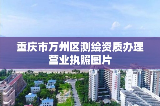 重庆市万州区测绘资质办理营业执照图片