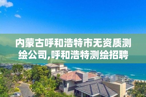 内蒙古呼和浩特市无资质测绘公司,呼和浩特测绘招聘