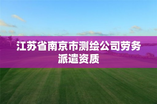 江苏省南京市测绘公司劳务派遣资质