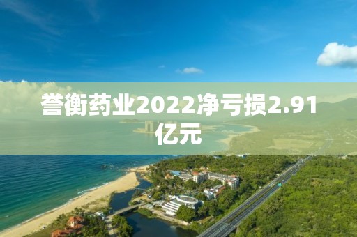 誉衡药业2022净亏损2.91亿元