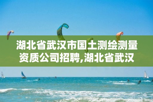 湖北省武汉市国土测绘测量资质公司招聘,湖北省武汉市国土测绘测量资质公司招聘公示。