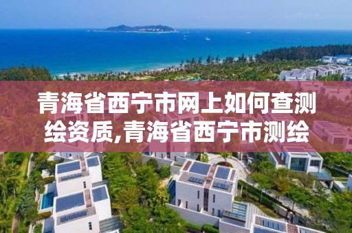 青海省西宁市网上如何查测绘资质,青海省西宁市测绘院