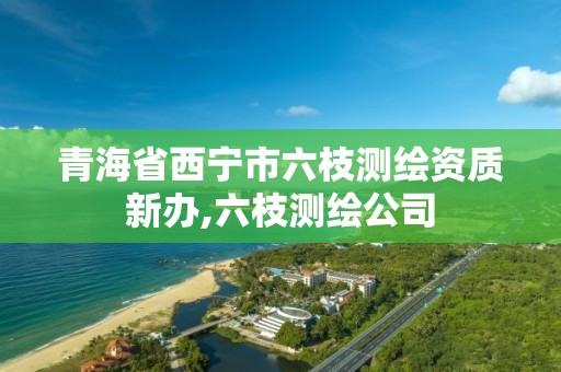 青海省西宁市六枝测绘资质新办,六枝测绘公司