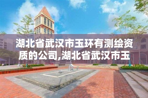 湖北省武汉市玉环有测绘资质的公司,湖北省武汉市玉环有测绘资质的公司有几家