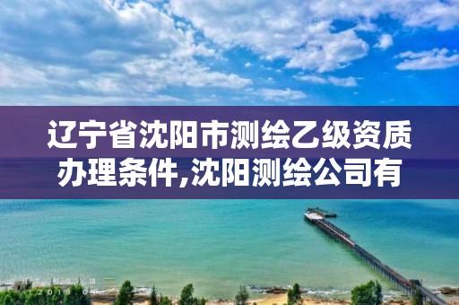 辽宁省沈阳市测绘乙级资质办理条件,沈阳测绘公司有哪些