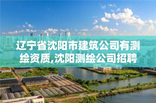 辽宁省沈阳市建筑公司有测绘资质,沈阳测绘公司招聘信息最新招聘