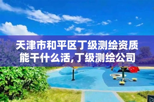 天津市和平区丁级测绘资质能干什么活,丁级测绘公司。