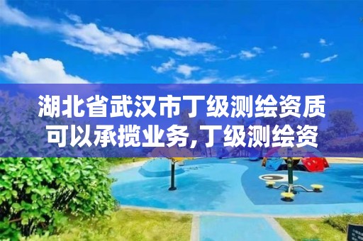 湖北省武汉市丁级测绘资质可以承揽业务,丁级测绘资质要求。