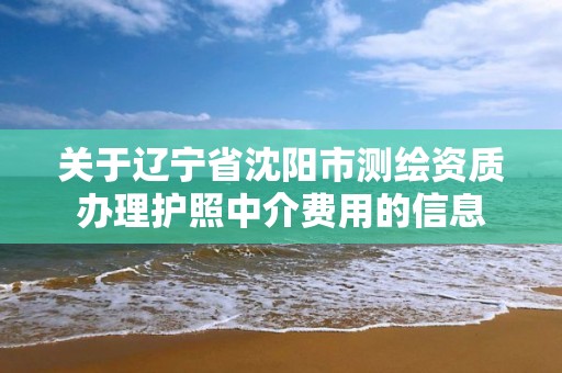 关于辽宁省沈阳市测绘资质办理护照中介费用的信息