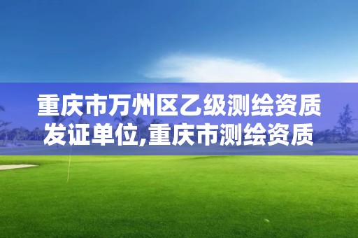 重庆市万州区乙级测绘资质发证单位,重庆市测绘资质管理办法