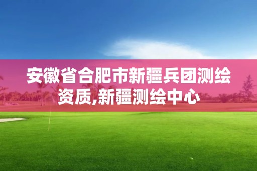 安徽省合肥市新疆兵团测绘资质,新疆测绘中心