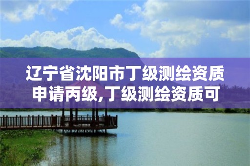 辽宁省沈阳市丁级测绘资质申请丙级,丁级测绘资质可直接转为丙级了