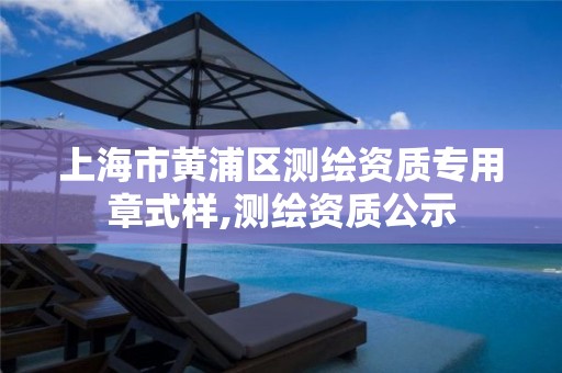 上海市黄浦区测绘资质专用章式样,测绘资质公示