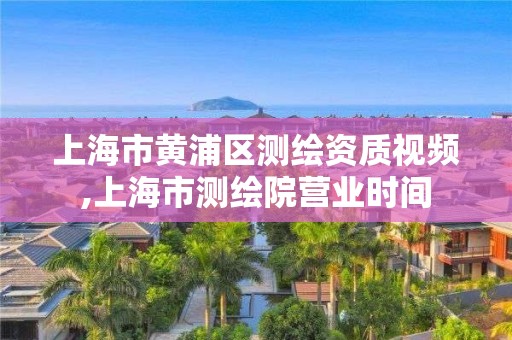 上海市黄浦区测绘资质视频,上海市测绘院营业时间