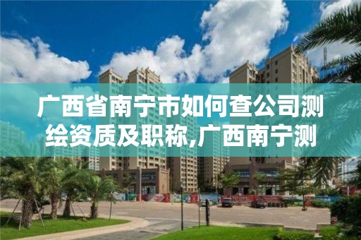 广西省南宁市如何查公司测绘资质及职称,广西南宁测绘公司排名。