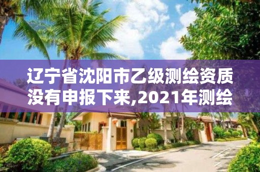 辽宁省沈阳市乙级测绘资质没有申报下来,2021年测绘乙级资质申报条件。