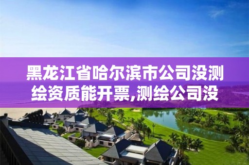 黑龙江省哈尔滨市公司没测绘资质能开票,测绘公司没有资质能开票