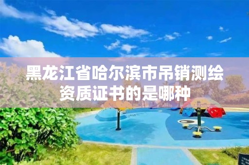 黑龙江省哈尔滨市吊销测绘资质证书的是哪种