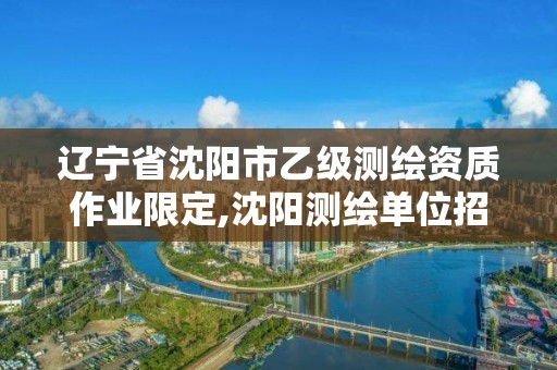 辽宁省沈阳市乙级测绘资质作业限定,沈阳测绘单位招聘