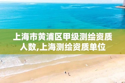 上海市黄浦区甲级测绘资质人数,上海测绘资质单位