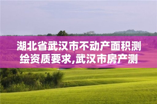 湖北省武汉市不动产面积测绘资质要求,武汉市房产测绘中心简介。