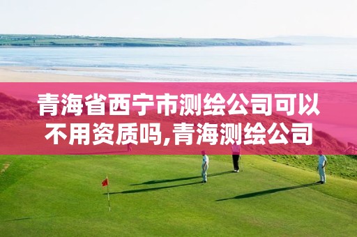 青海省西宁市测绘公司可以不用资质吗,青海测绘公司有哪些