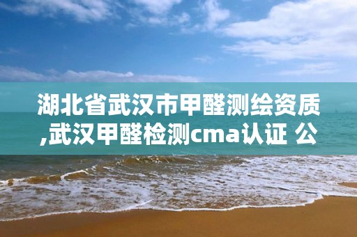 湖北省武汉市甲醛测绘资质,武汉甲醛检测cma认证 公司